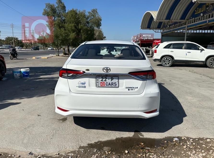 تويوتا كورولا